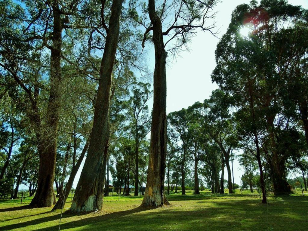 Inn The Tuarts Guest Lodge Busselton Accommodation - Adults Only Dış mekan fotoğraf