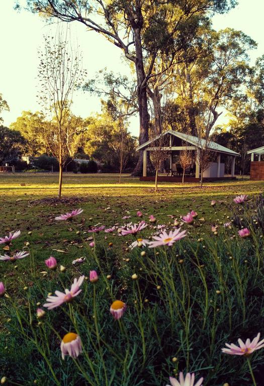 Inn The Tuarts Guest Lodge Busselton Accommodation - Adults Only Dış mekan fotoğraf