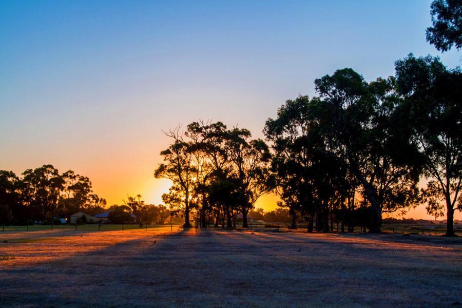 Inn The Tuarts Guest Lodge Busselton Accommodation - Adults Only Dış mekan fotoğraf